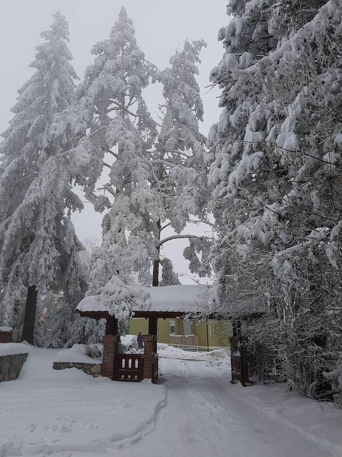 Apartment Joksimovic Zlatibor Eksteriør bilde
